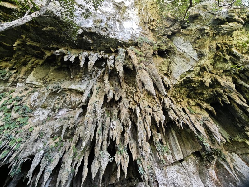 Photo 4 at Gunung Mulu National Park in 