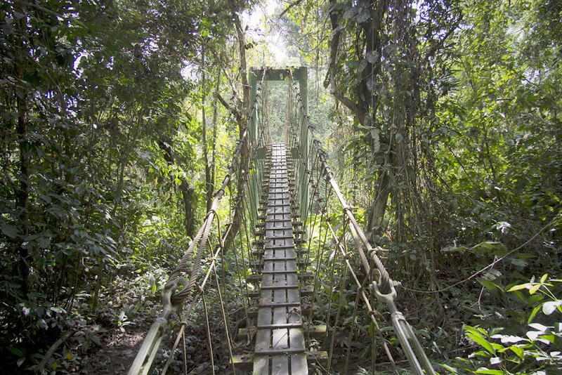 Photo 3 at Gunung Mulu National Park in 