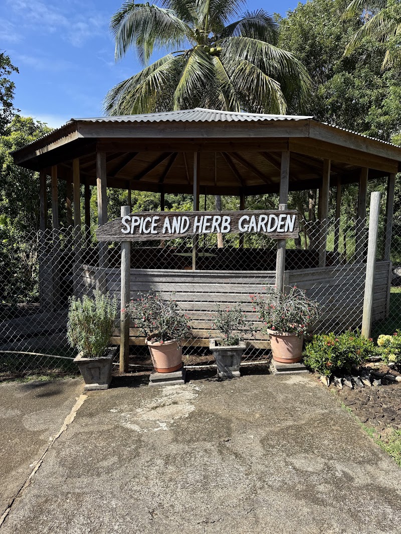 Photo 5 at Laura Herb & Spice Garden in Epping Forest