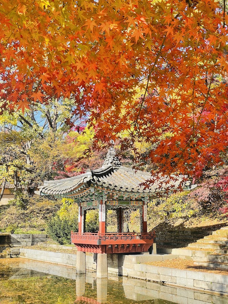 Photo 1 at Changdeokgung Secret Garden in 율곡로