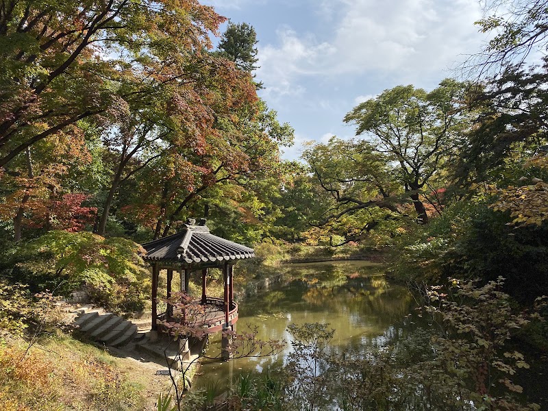 Photo 5 at Changdeokgung Secret Garden in 율곡로