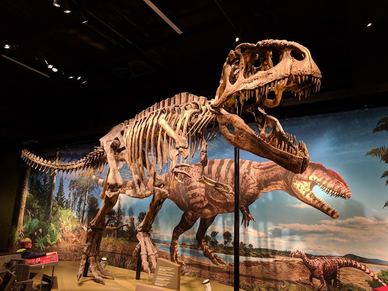 Denver Museum of Nature & Science in Denver