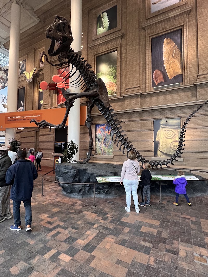 Photo 3 at Denver Museum of Nature & Science in Denver