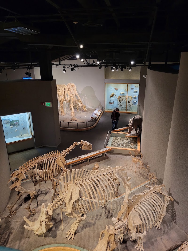 Photo 2 at Denver Museum of Nature & Science in Denver
