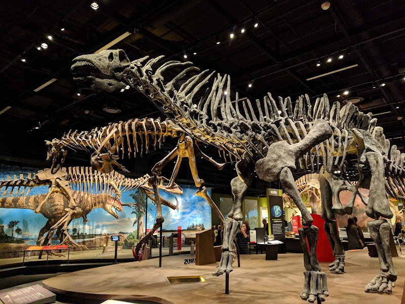 Photo 5 at Denver Museum of Nature & Science in Denver