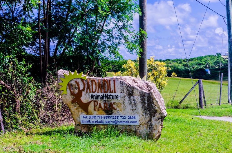 Photo 1 at Wadadli Animal Nature Park in St.Phillips