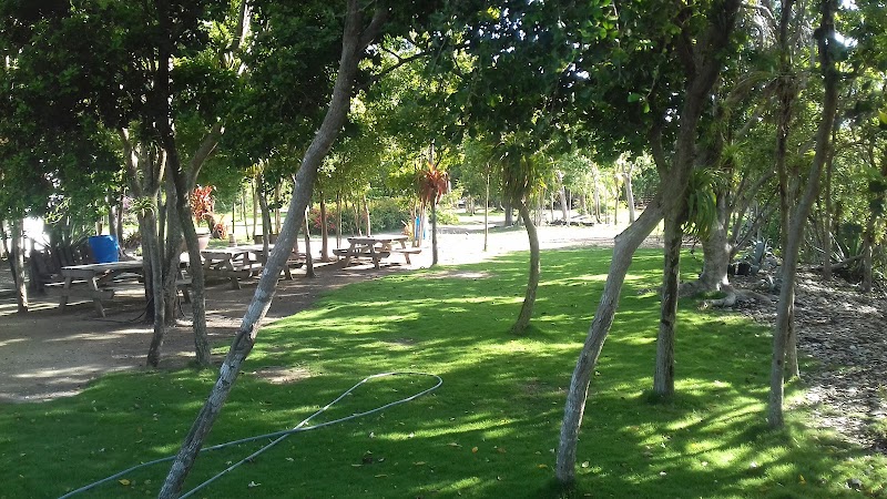 Photo 3 at Wadadli Animal Nature Park in St.Phillips