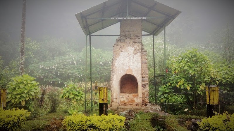 Photo 6 at Piduruthalagala Conservation Forest in Nuwara Eliya