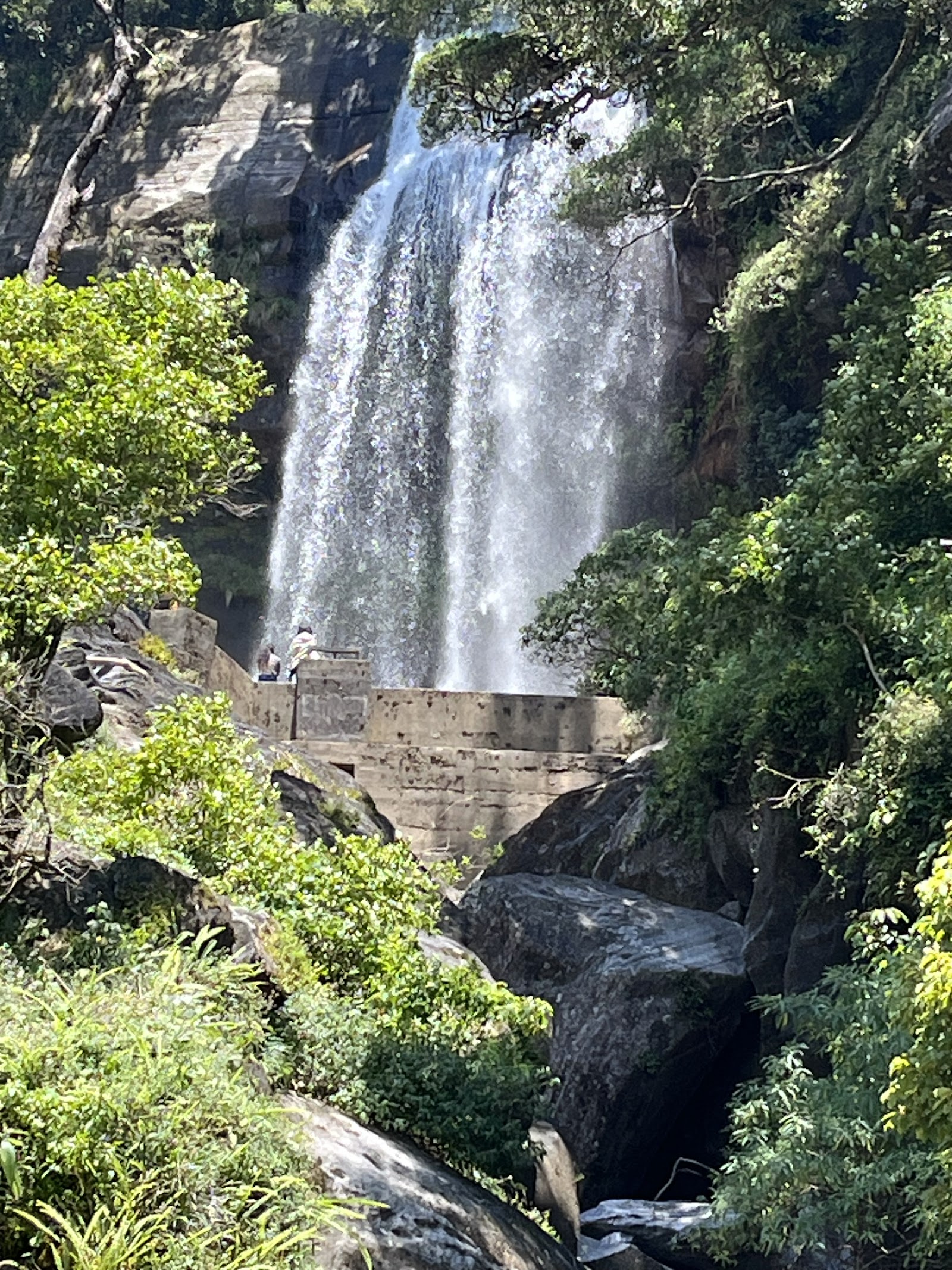 Piduruthalagala Conservation Forest in Nuwara Eliya