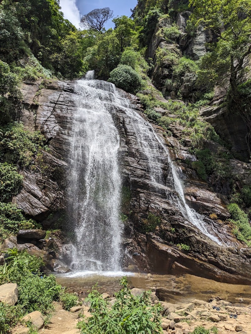 Photo 4 at Piduruthalagala Conservation Forest in Nuwara Eliya