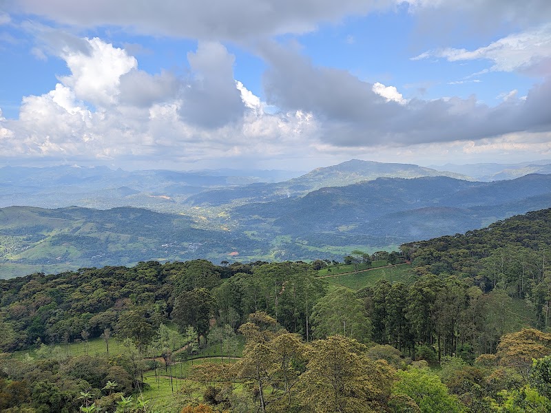 Photo 1 at Piduruthalagala Conservation Forest in Nuwara Eliya