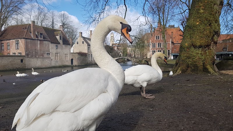 Photo 4 at Beguinage "Ten Wijngaerde" in Brugge