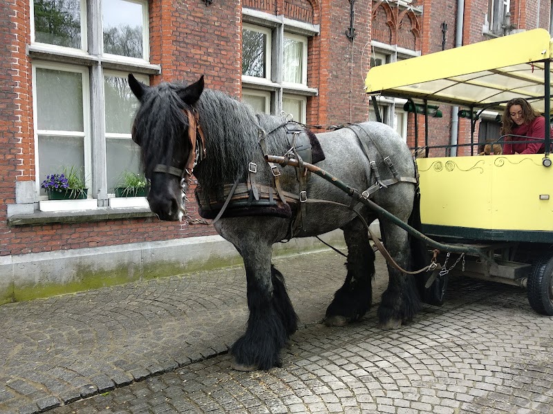 Photo 3 at Beguinage "Ten Wijngaerde" in Brugge