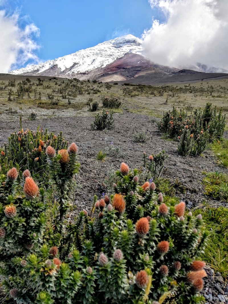Photo 6 at Parque Nacional Cotopaxi in 