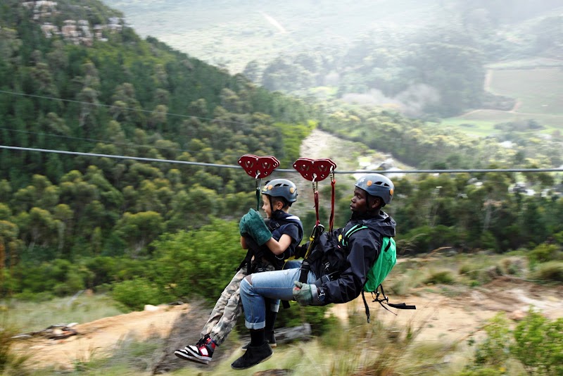 Cape Town Ziplines SA Forest Adventures in Cape Town