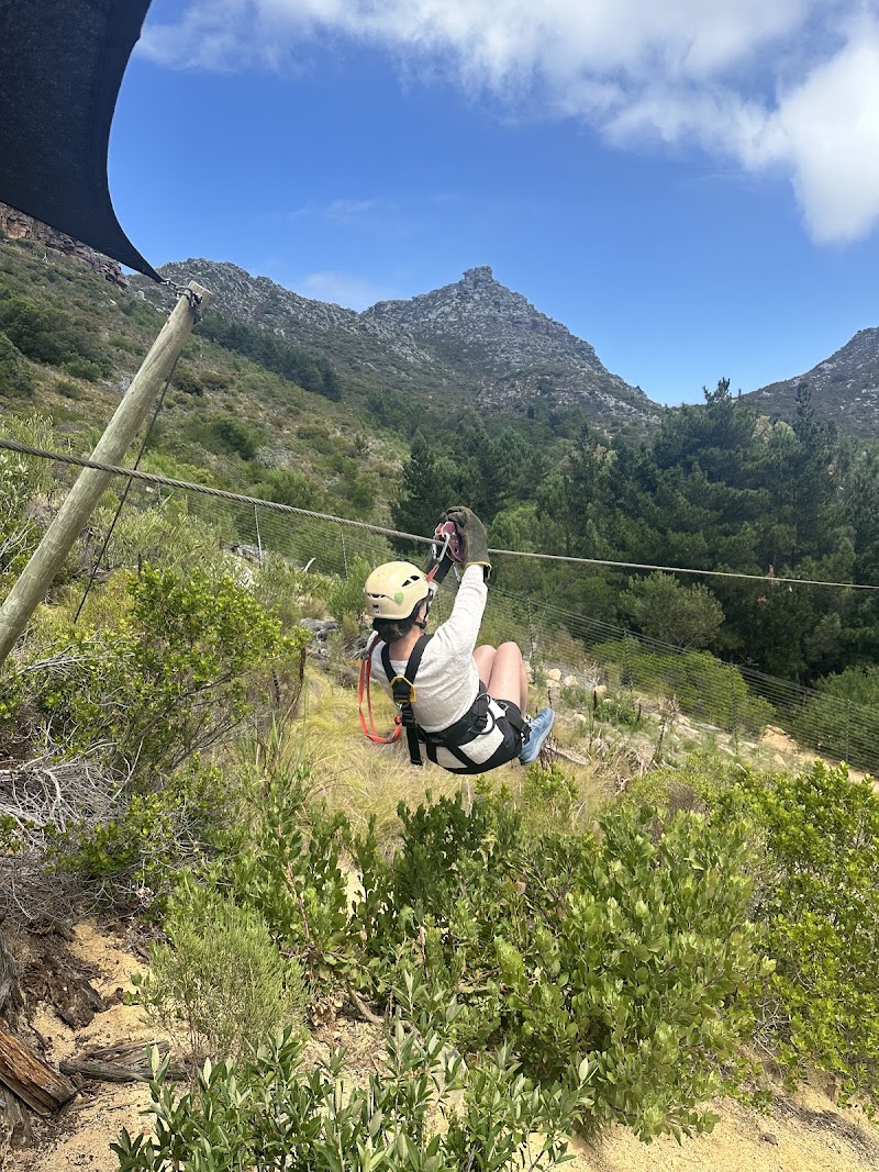 Photo 4 at Cape Town Ziplines SA Forest Adventures in Cape Town