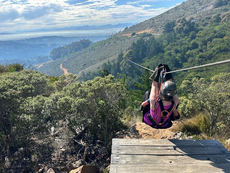 Photo 1 at Cape Town Ziplines SA Forest Adventures in Cape Town