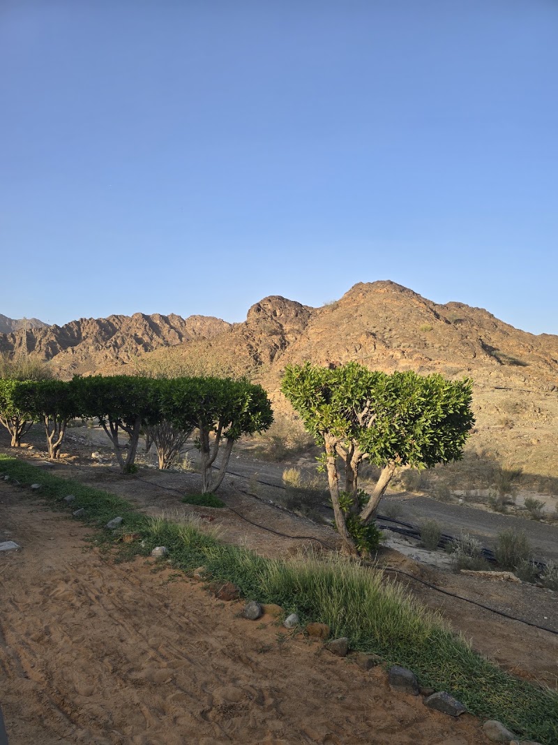 Photo 4 at The Adventure Centre in Hatta