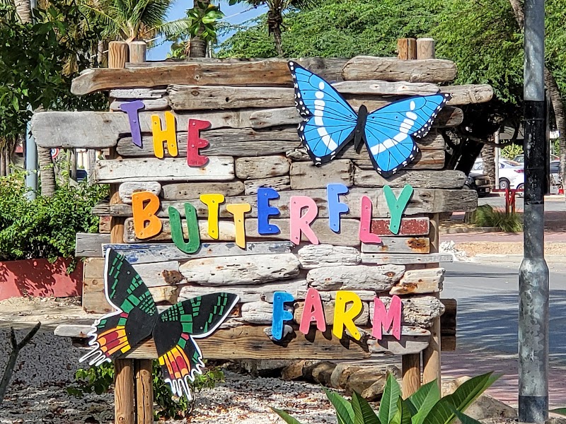 Photo 1 at The Butterfly Farm Aruba in Noord
