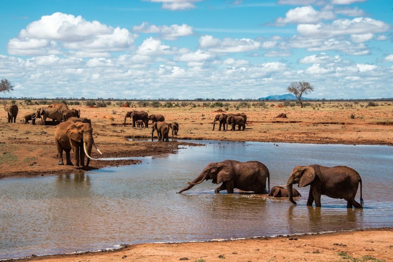 Tsavo East National Park in 