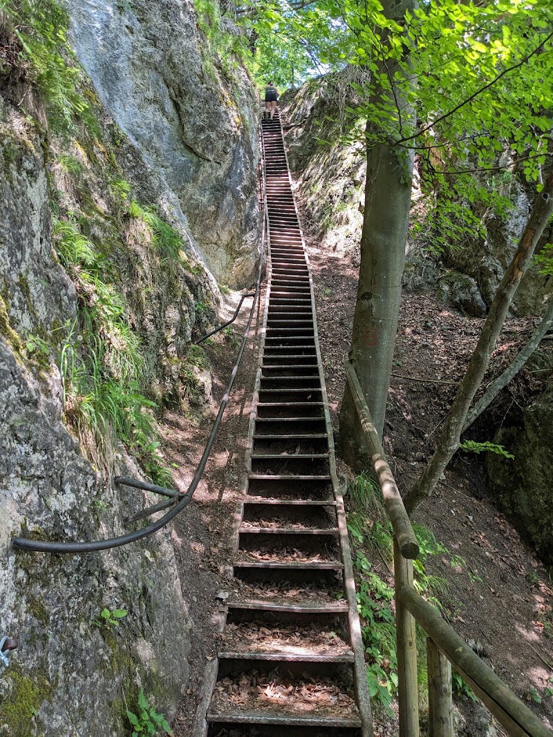 Photo 5 at Ojstrica Viewpoint in Bled