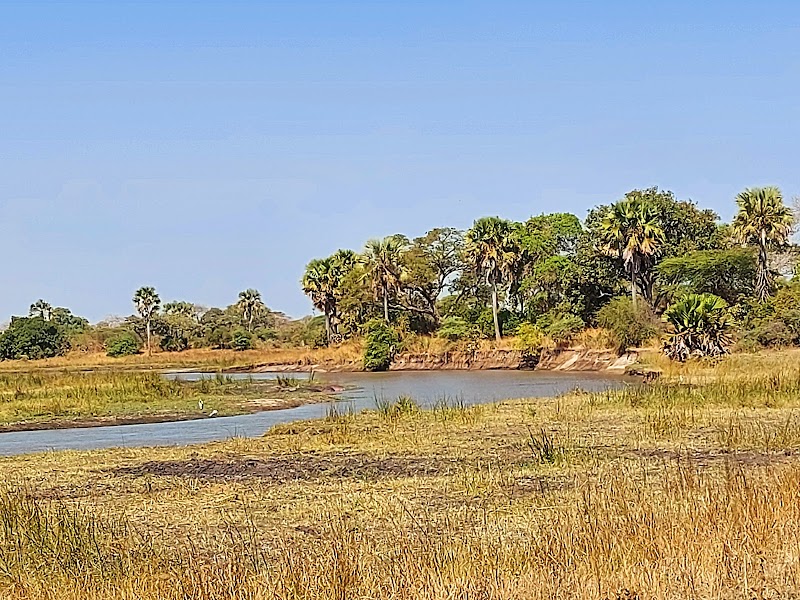 Photo 4 at Katavi National Park in 