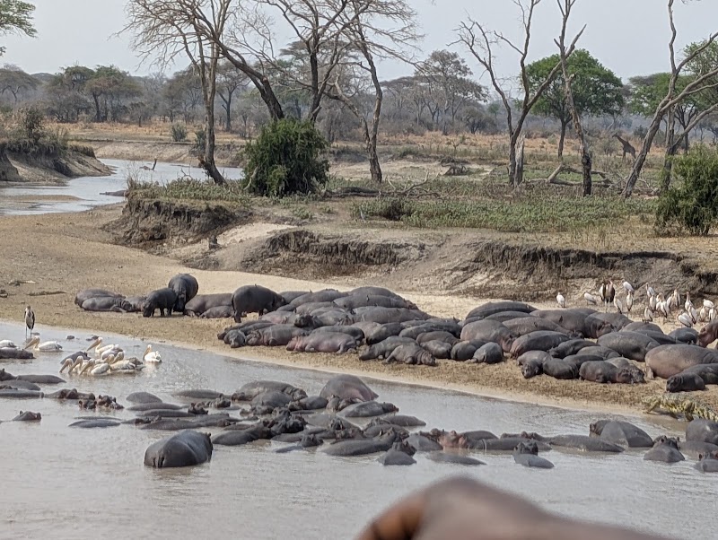 Photo 1 at Katavi National Park in 