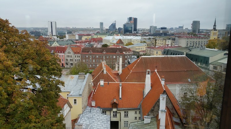 Photo 3 at Maiden Tower Museum-Cafe in Tallinn