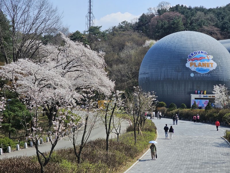Photo 6 at Seoul Grand Park Skylift in Gwacheon-si