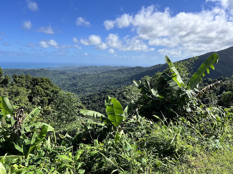Photo 1 at El Portal de El Yunque Rainforest Center - El Yunque National Forest in Río Grande