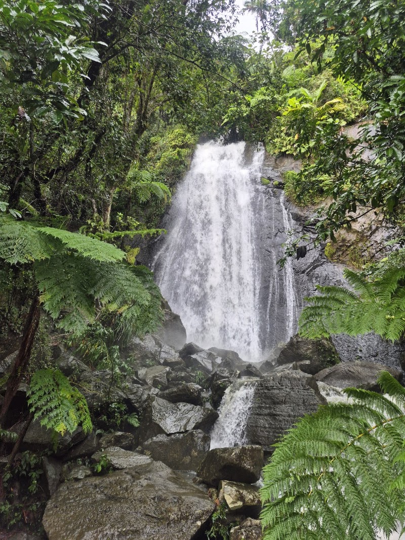 Photo 2 at El Portal de El Yunque Rainforest Center - El Yunque National Forest in Río Grande