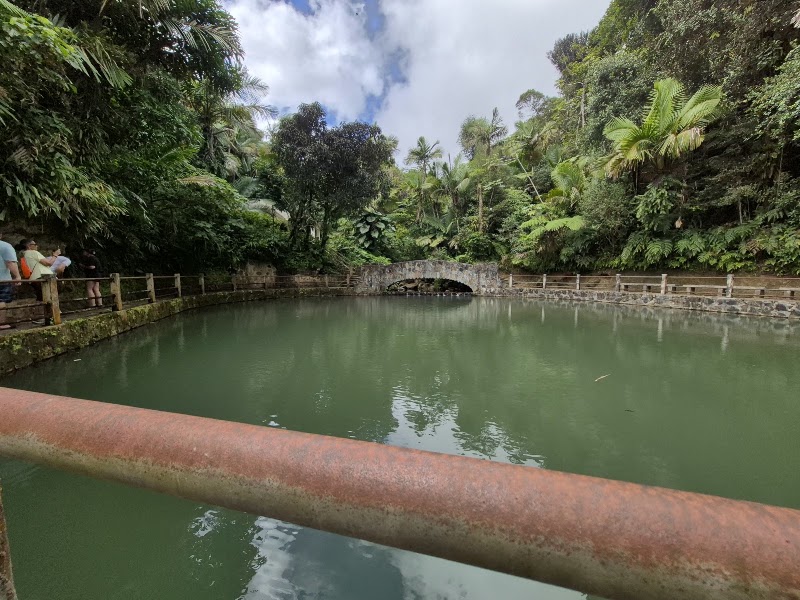 Photo 6 at El Portal de El Yunque Rainforest Center - El Yunque National Forest in Río Grande