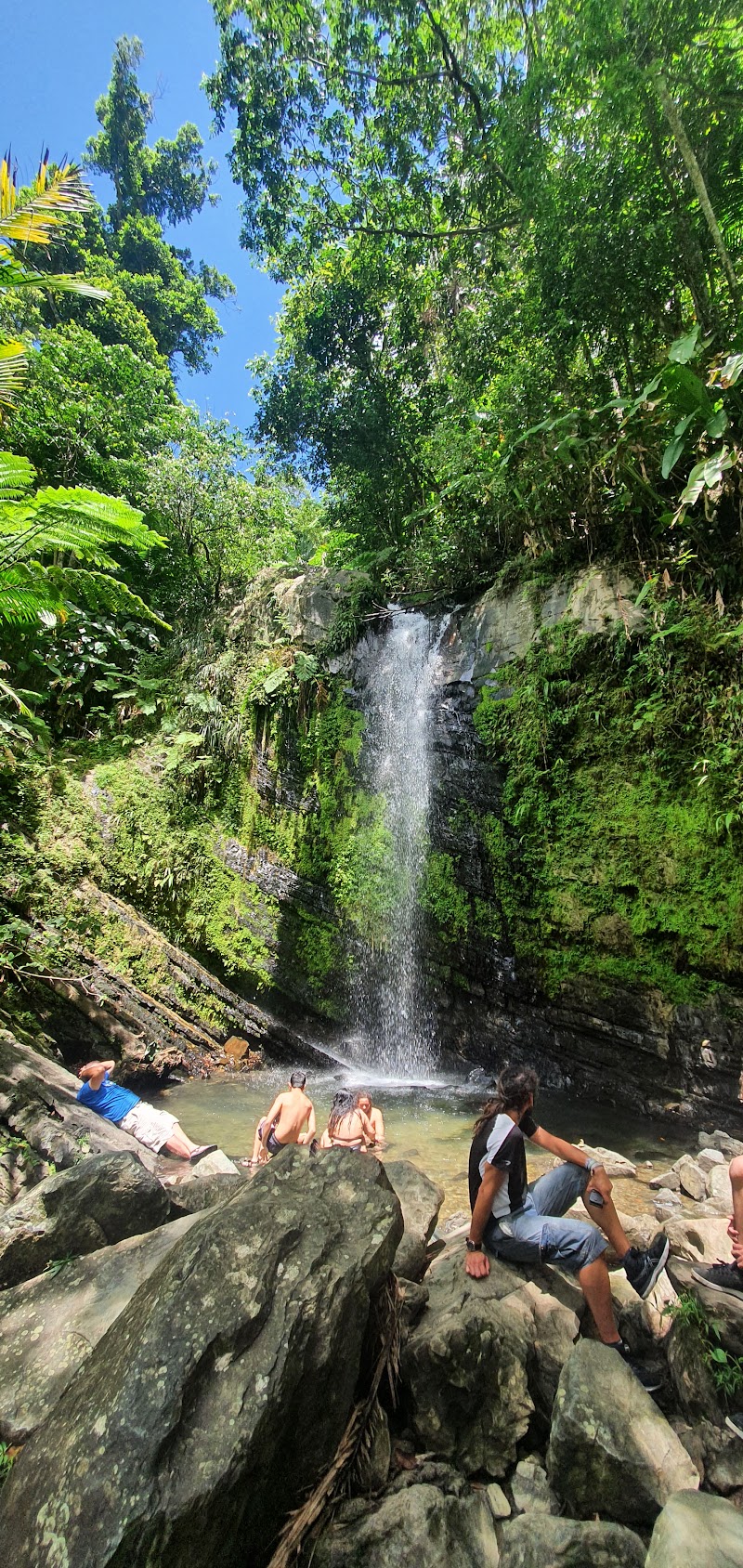 Photo 5 at El Portal de El Yunque Rainforest Center - El Yunque National Forest in Río Grande