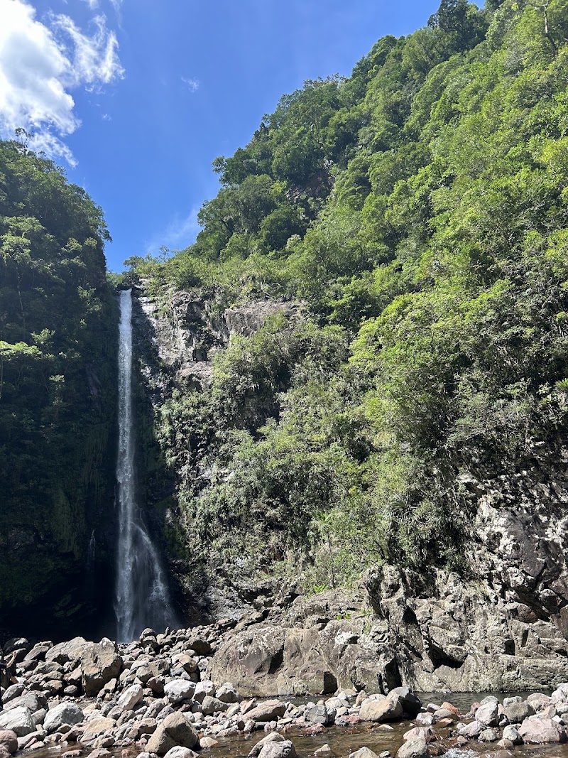 Photo 6 at Aparados da Serra National Park in Zona Rural