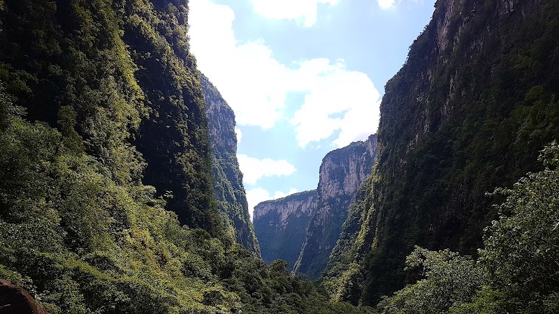 Photo 2 at Aparados da Serra National Park in Zona Rural