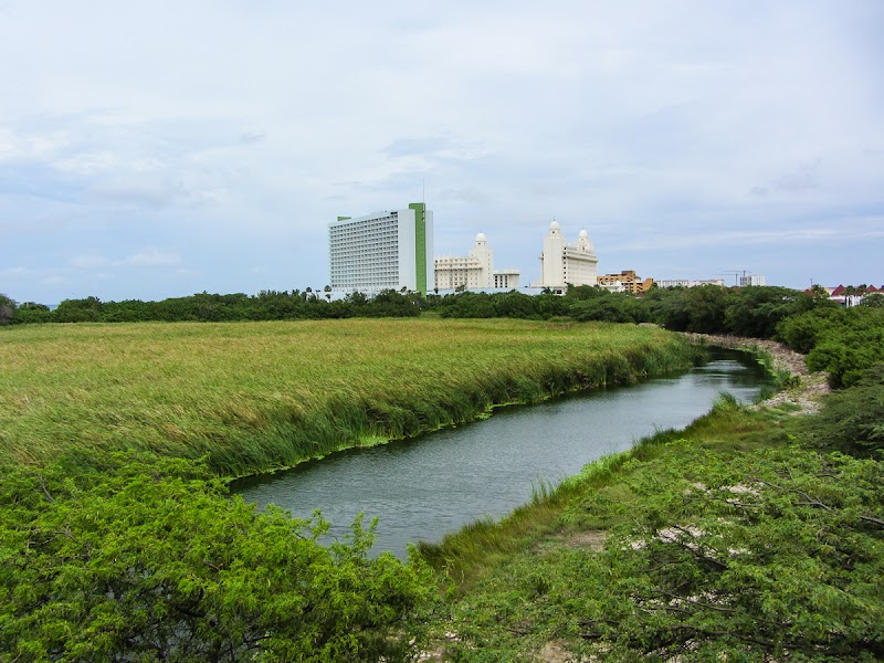 Bubali Bird Sanctuary in Noord