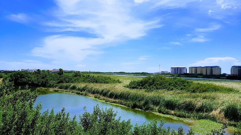 Photo 3 at Bubali Bird Sanctuary in Noord