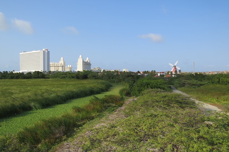Photo 1 at Bubali Bird Sanctuary in Noord