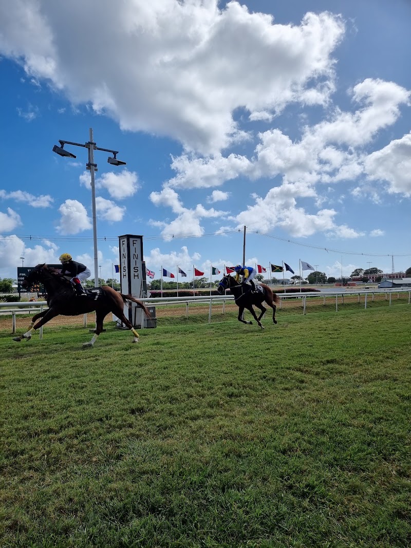 Photo 3 at Garrison Savannah in Bridgetown
