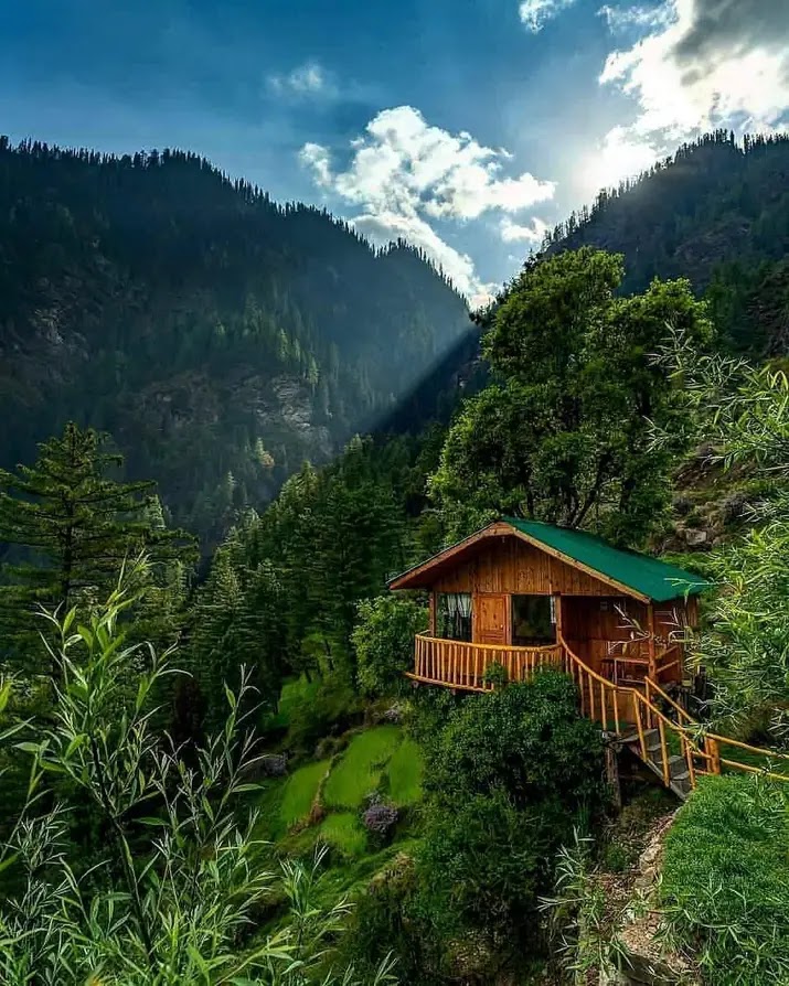 Photo 1 at Great Himalayan National Park in 