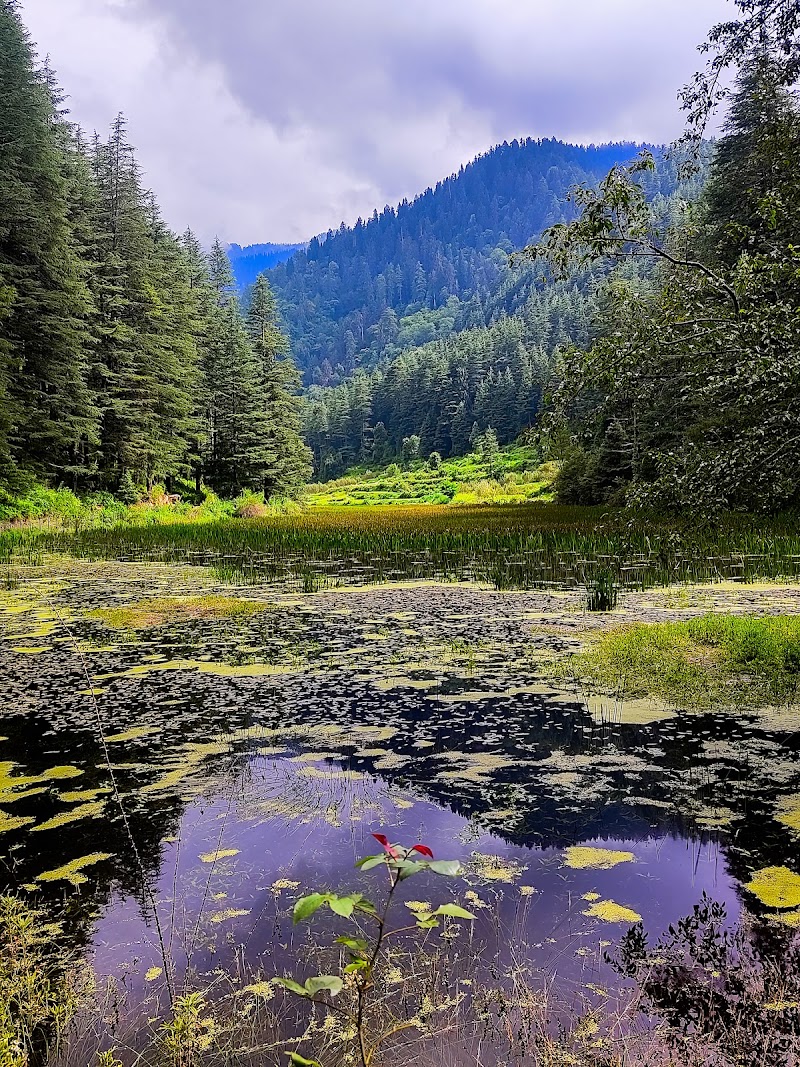 Photo 5 at Great Himalayan National Park in 