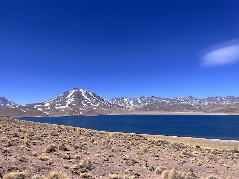 Lagunas Miscanti y Miñiques in Socaire