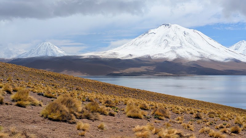 Photo 6 at Lagunas Miscanti y Miñiques in Socaire