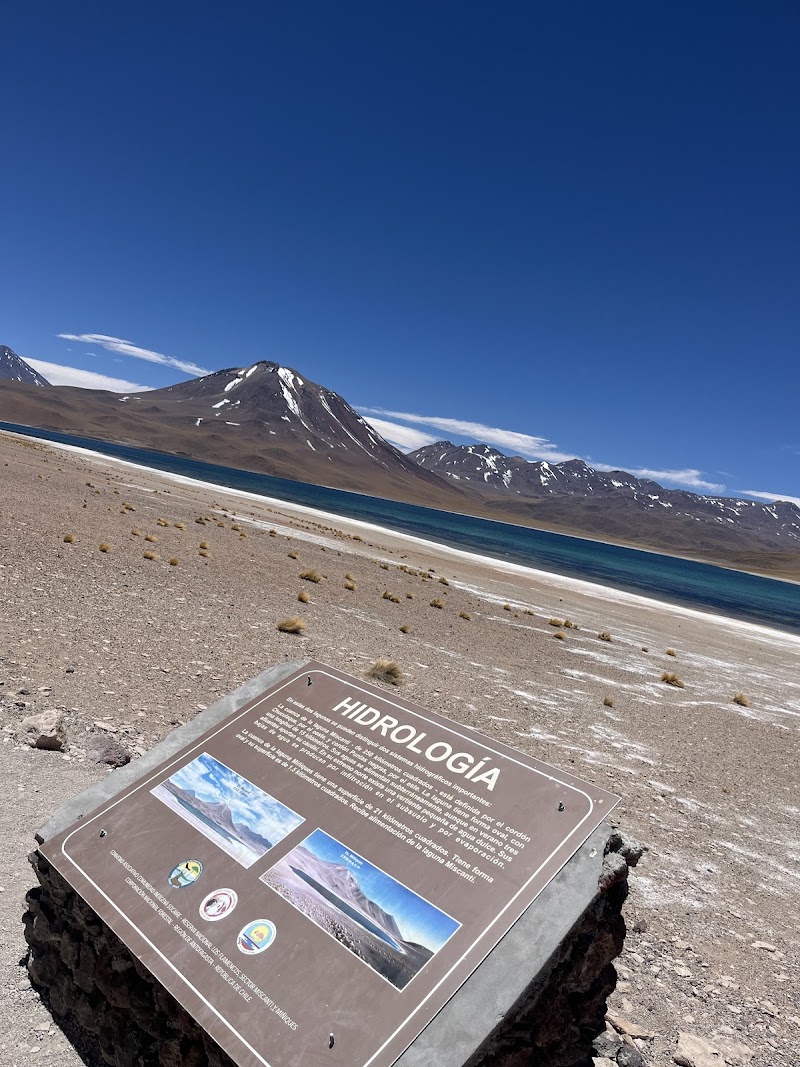 Photo 2 at Lagunas Miscanti y Miñiques in Socaire