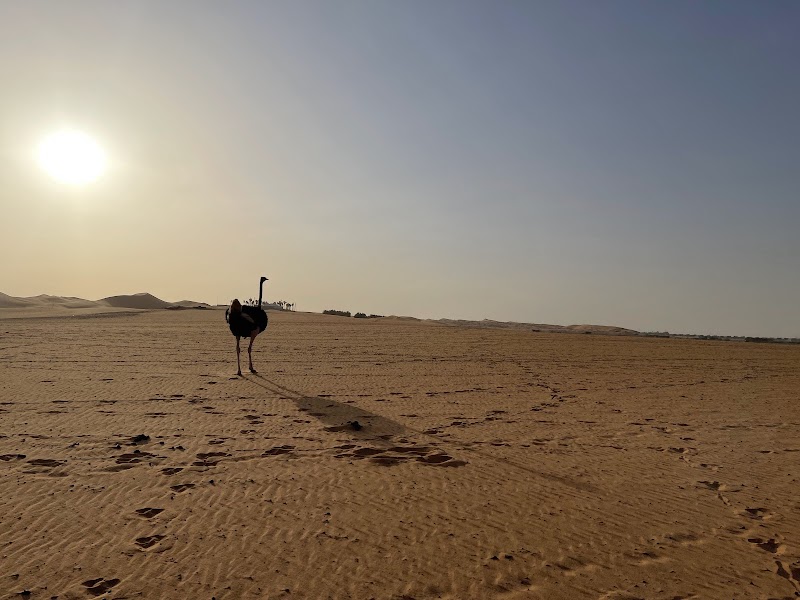 Photo 3 at Nofa Resorts in الرياض