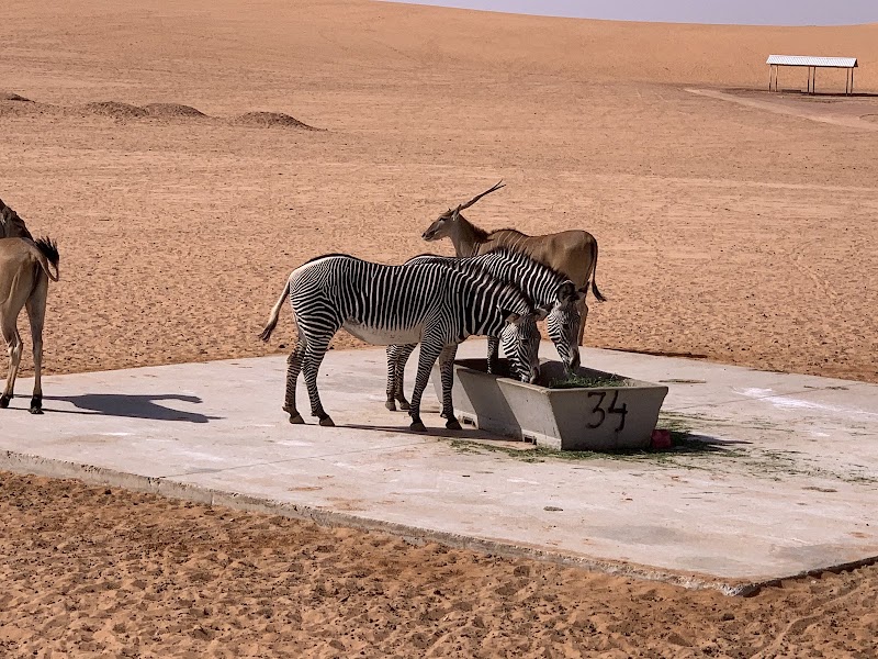 Photo 4 at Nofa Resorts in الرياض