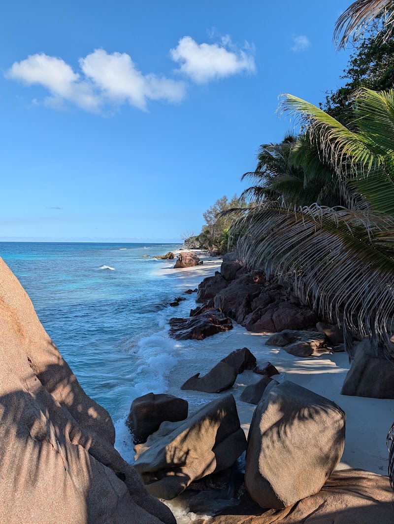 Photo 5 at Anse Patates in Anse Reunion