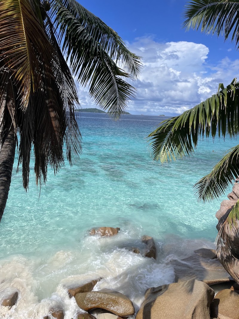 Photo 4 at Anse Patates in Anse Reunion