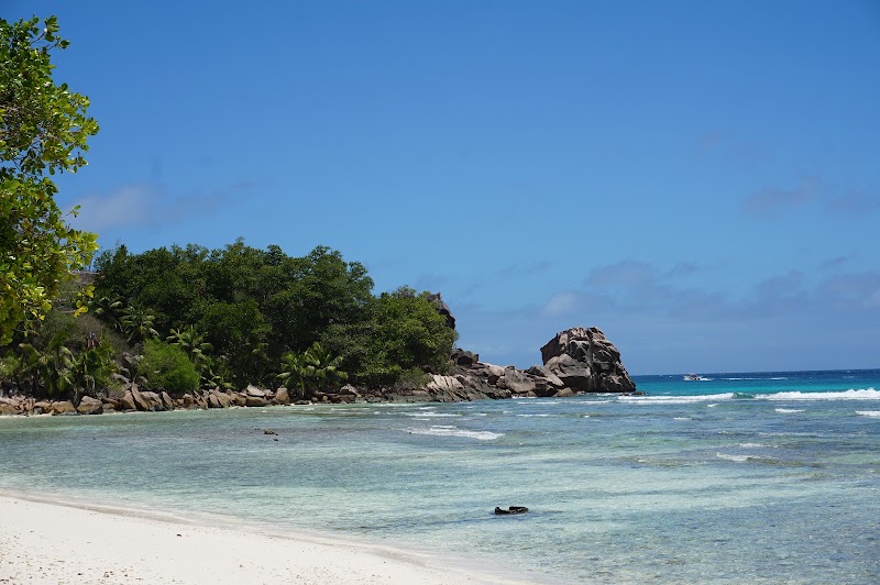 Photo 6 at Anse Patates in Anse Reunion