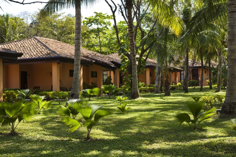 Photo 6 at Barceló Montelimar - All Inclusive in Montelimar